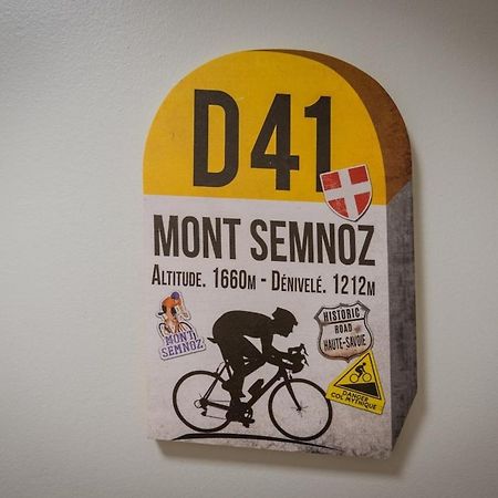 La Feuillette - Vieille Ville - Parking Gratuit Annecy Ngoại thất bức ảnh