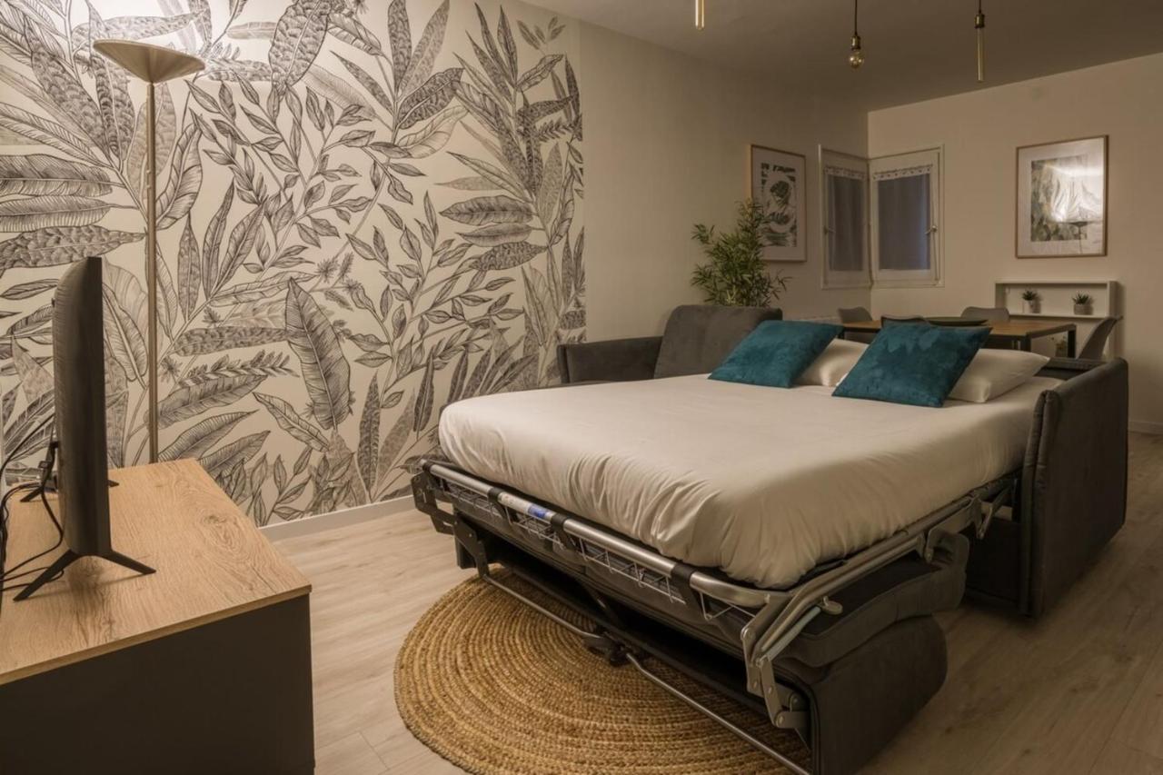 La Feuillette - Vieille Ville - Parking Gratuit Annecy Ngoại thất bức ảnh