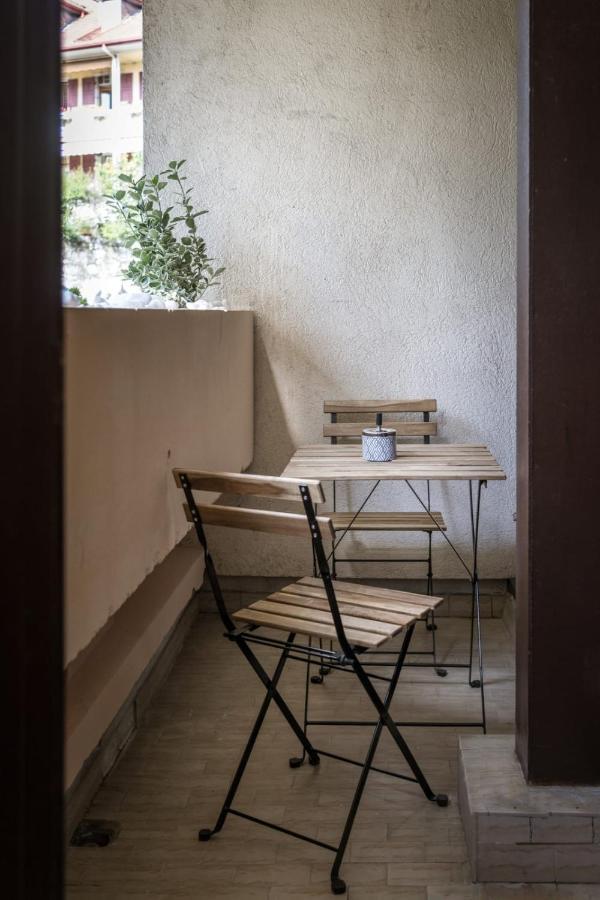 La Feuillette - Vieille Ville - Parking Gratuit Annecy Ngoại thất bức ảnh
